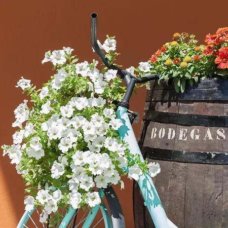 Szálloda The Park 3*